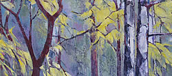 Nature's 'Stained Glass Window' - Silver Birches 2 | 2013 | Oil on Canvas | 64 x 46 cm
